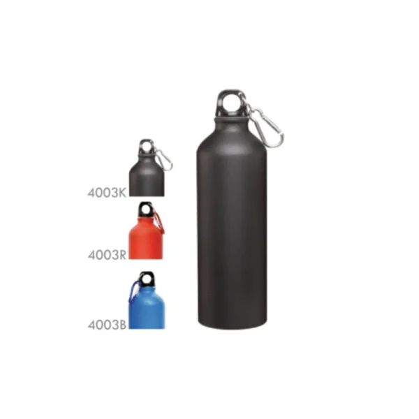 750 ML Matt Finish Custom Water Bottle