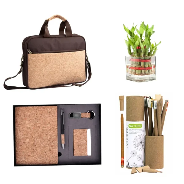 Sustainable Premium Onboading Kit with Desktop Oxygen Plant