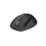 Toad 24 Mouse